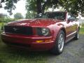 2005 Mustang V6 Premium Convertible #1