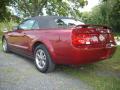 2005 Mustang V6 Premium Convertible #3