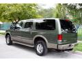 2005 Excursion Eddie Bauer 4x4 #6