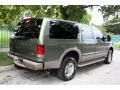 2005 Excursion Eddie Bauer 4x4 #8