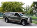 2005 Excursion Eddie Bauer 4x4 #12