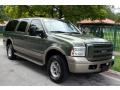 Front 3/4 View of 2005 Ford Excursion Eddie Bauer 4x4 #15