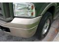 2005 Excursion Eddie Bauer 4x4 #20