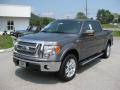 2011 F150 XLT SuperCrew 4x4 #2