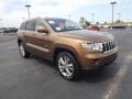 Front 3/4 View of 2011 Jeep Grand Cherokee Laredo X 70th Anniversary #3