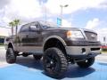 2006 F150 Lariat SuperCrew 4x4 #7 2006 F150 Lariat SuperCrew 4x4 #7