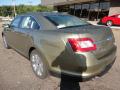 2012 Ford Taurus Ginger Ale #2  2012 Ford Taurus Ginger Ale #2