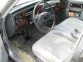  Gray Interior Cadillac Brougham #15