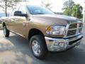  2012 Dodge Ram 2500 HD Saddle Brown Pearl #4