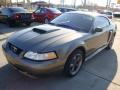 2001 Mustang GT Coupe #6