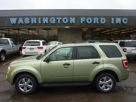 Kiwi Green Metallic Ford Escape XLT V6 4WD.  Click to enlarge.