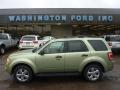 2008 Escape XLT V6 4WD #1