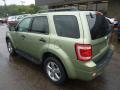 2008 Escape XLT V6 4WD #2