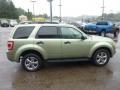 2008 Escape XLT V6 4WD #5