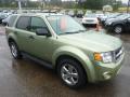 2008 Escape XLT V6 4WD #6