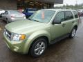 2008 Escape XLT V6 4WD #8