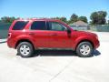 2012 Escape XLT #2