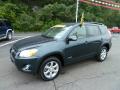 2010 Toyota RAV4 Black Forest Pearl #1 2010 Toyota RAV4 Black Forest Pearl #1