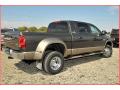  2009 Dodge Ram 3500 Dark Khaki Pearl #9