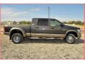  2009 Dodge Ram 3500 Dark Khaki Pearl #10