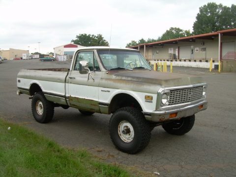 Willow Green Chevrolet C/K K10 Custom Regular Cab 4x4.  Click to enlarge.