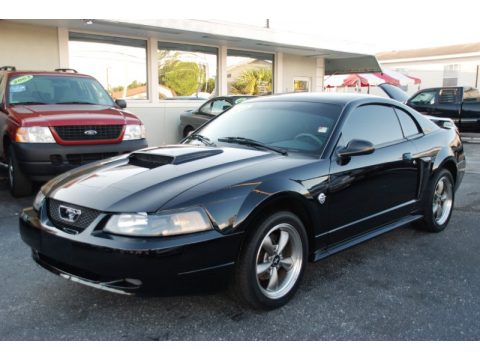 Black Ford Mustang GT Coupe.  Click to enlarge.