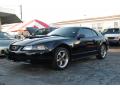 2004 Mustang GT Coupe #11