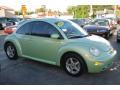 2002 New Beetle GLS Coupe #2