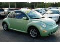 2002 New Beetle GLS Coupe #10