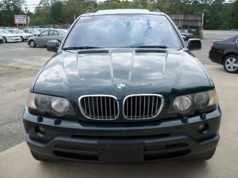 Oxford Green Metallic BMW X5 4.4i.  Click to enlarge.