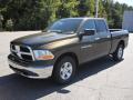  2012 Dodge Ram 1500 Sagebrush Pearl #1