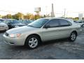 2004 Taurus SE Sedan #12
