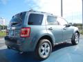 2012 Ford Escape Steel Blue Metallic #3