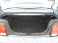 2007 Mustang V6 Premium Convertible #11
