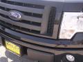 2009 F150 STX Regular Cab 4x4 #1 2009 F150 STX Regular Cab 4x4 #1