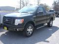 2009 F150 STX Regular Cab 4x4 #2 2009 F150 STX Regular Cab 4x4 #2
