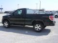 2009 F150 STX Regular Cab 4x4 #12 2009 F150 STX Regular Cab 4x4 #12