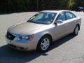 2006 Sonata GLS V6 #1 2006 Sonata GLS V6 #1
