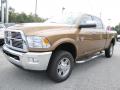  2012 Dodge Ram 2500 HD Saddle Brown Pearl #3