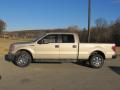  2010 Ford F150 Pueblo Gold Metallic #2