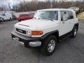 2010 FJ Cruiser 4WD #3