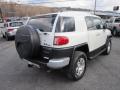 2010 FJ Cruiser 4WD #7