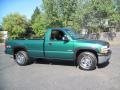 2000 Silverado 1500 LS Regular Cab 4x4 #10