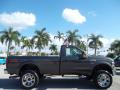  2008 Ford F250 Super Duty Dark Stone Metallic #5