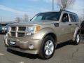 2010 Nitro SXT 4x4 #1