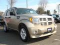 2010 Nitro SXT 4x4 #7