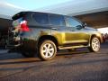 2010 GX 460 #4 2010 GX 460 #4