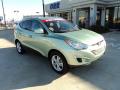 2010 Tucson GLS #2