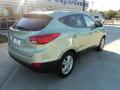 2010 Tucson GLS #3