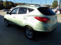2010 Tucson GLS #4
